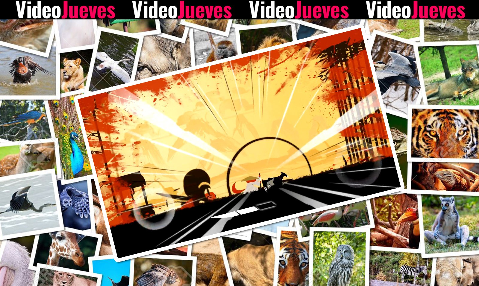 Samurai Bamboo Videojueves