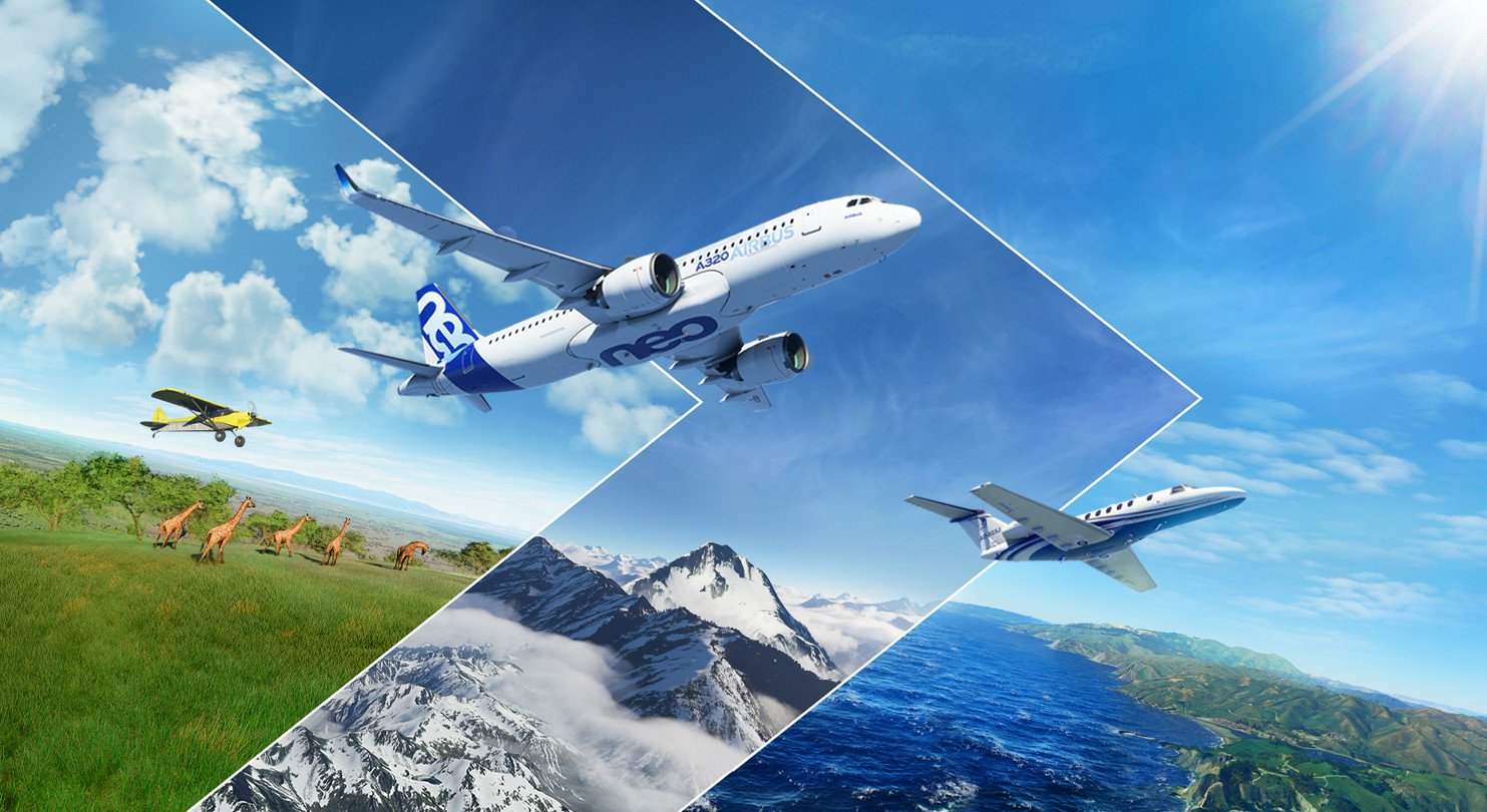 Flight Simulator