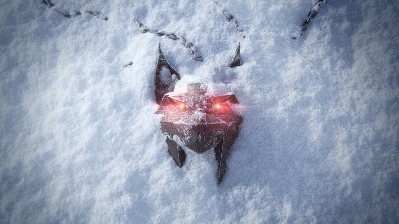 the witcher
